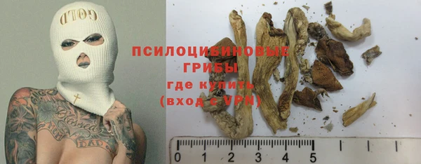 spice Краснотурьинск