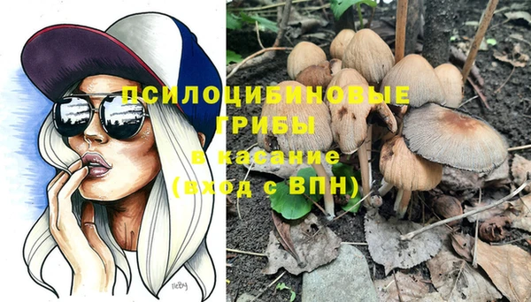 прущая мука Краснослободск