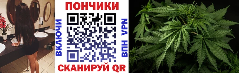 Бошки марихуана White Widow  Купить  Волчанск 